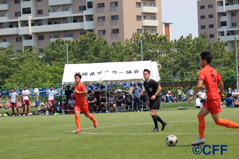 th_IMG_8808