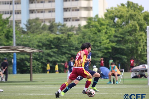 th_IMG_0239