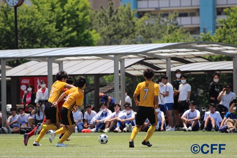 th_IMG_8613