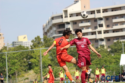 th_IMG_8876