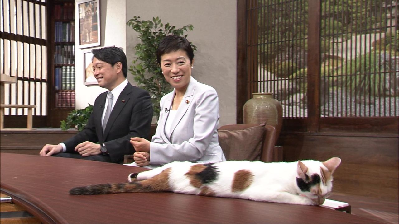 テレ東 今週のにゃーにゃ 田勢康弘の週刊ニュース新書 にくきゅ ちゃんねる