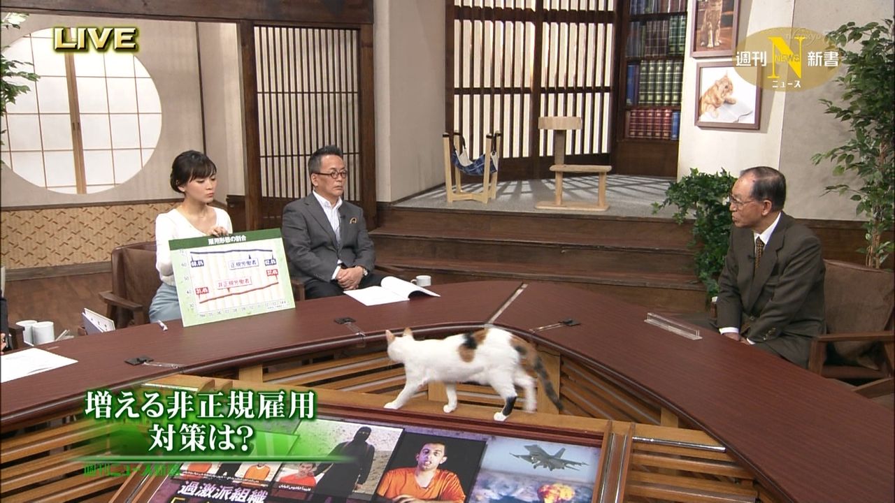 テレ東 今週のにゃーにゃ 1507 田勢康弘の週刊ニュース新書 にくきゅ ちゃんねる