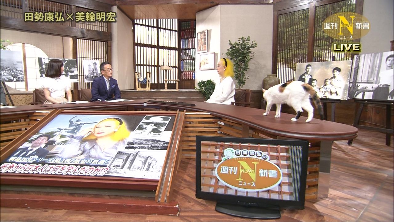 テレ東 今週のにゃーにゃ 田勢康弘の週刊ニュース新書 にくきゅ ちゃんねる