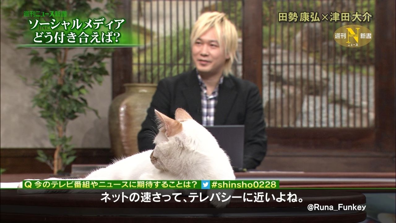 テレ東 今週のにゃーにゃ 田勢康弘の週刊ニュース新書 にくきゅ ちゃんねる