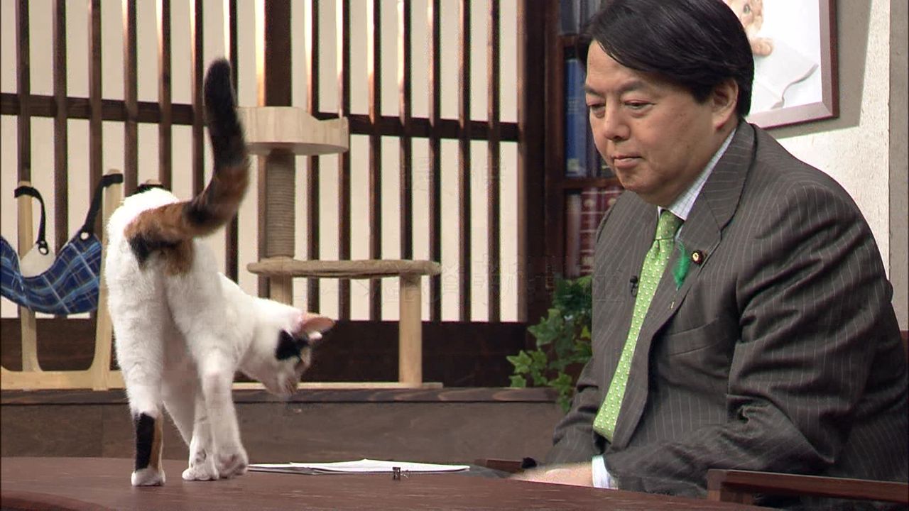 テレ東 今週のにゃーにゃ 田勢康弘の週刊ニュース新書 にくきゅ ちゃんねる