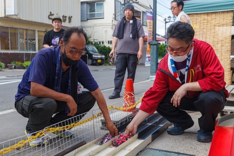 E4C8FD5F-5878-46AA-848D-25A0AF36DC75_0