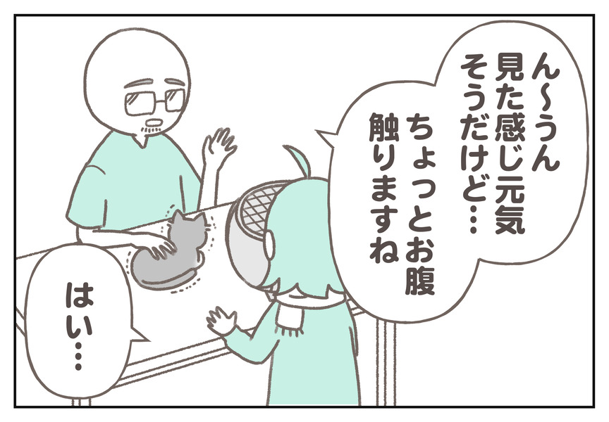 猫マンガ＿病院11_007