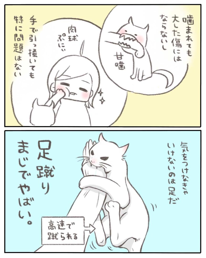 ねことの日常04】傷跡 : マンガと私と猫ブログ。 Powered by 