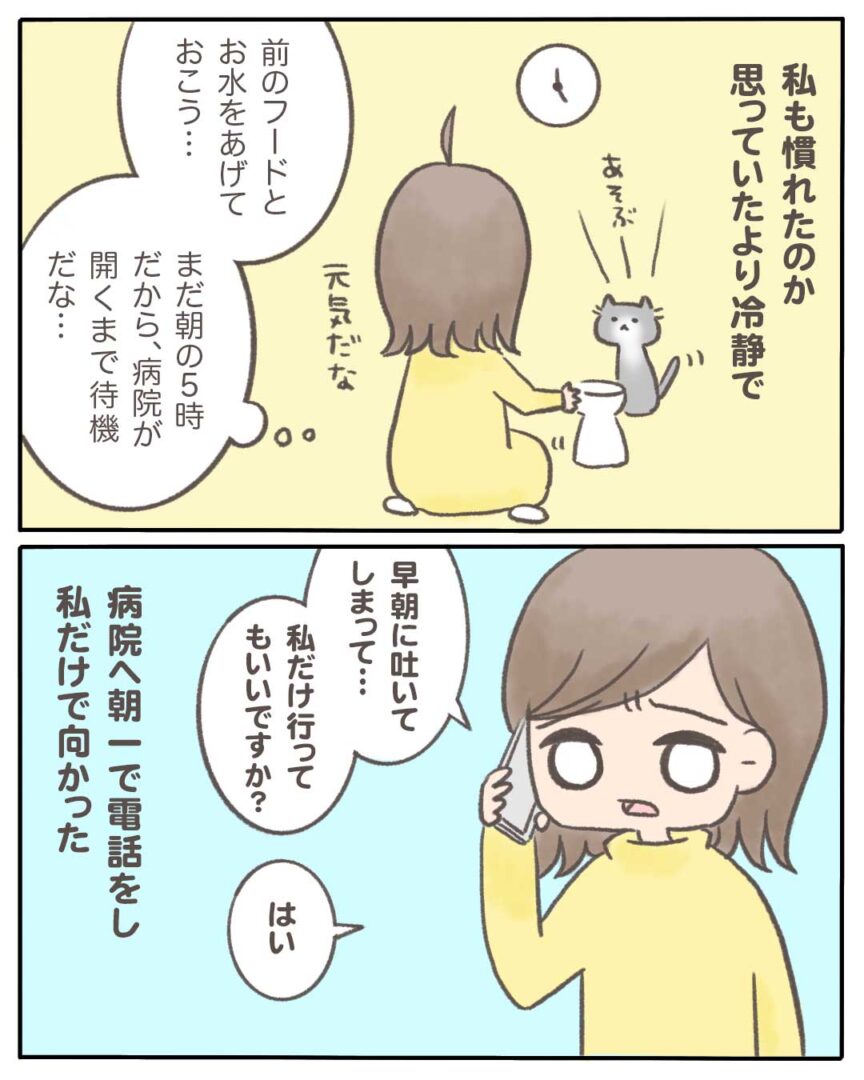 うちの猫の 少食 の原因がわかった話12 マンガと私と猫ブログ Powered By ライブドアブログ うちの猫の 少食 の原因がわかった話12 マンガと私と猫ブログ Powered By ライブドアブログ