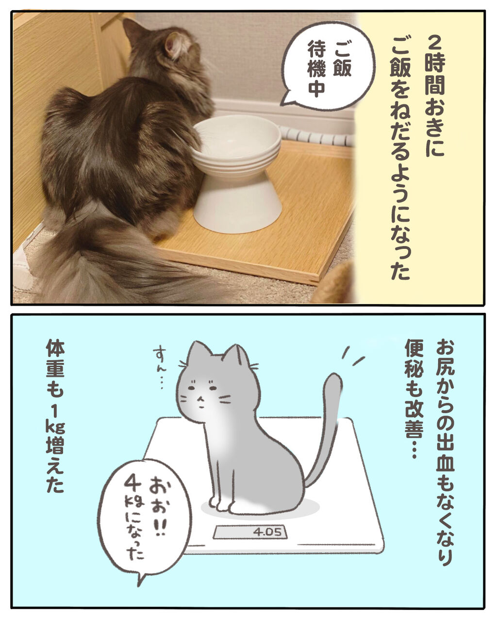 うちの猫の 少食 の原因がわかった話14 マンガと私と猫ブログ Powered By ライブドアブログ