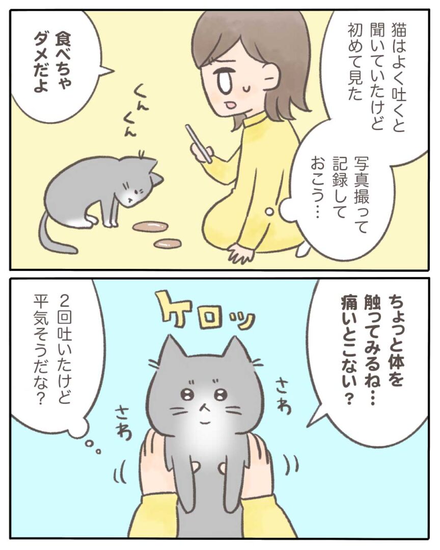 うちの猫の 少食 の原因がわかった話12 マンガと私と猫ブログ Powered By ライブドアブログ うちの猫の 少食 の原因がわかった話12 マンガと私と猫ブログ Powered By ライブドアブログ
