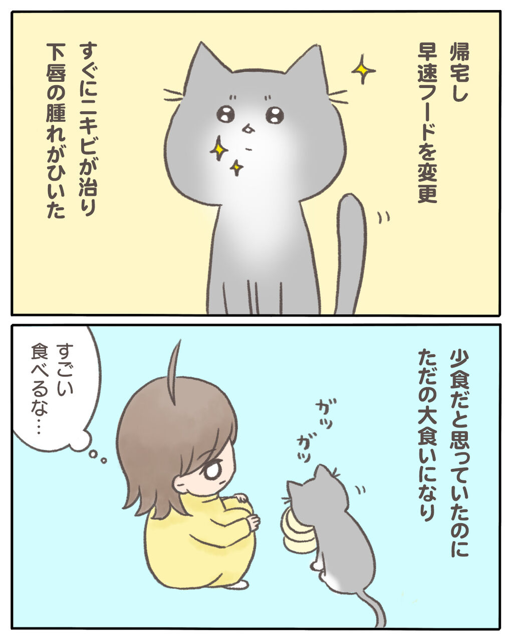うちの猫の 少食 の原因がわかった話14 マンガと私と猫ブログ Powered By ライブドアブログ