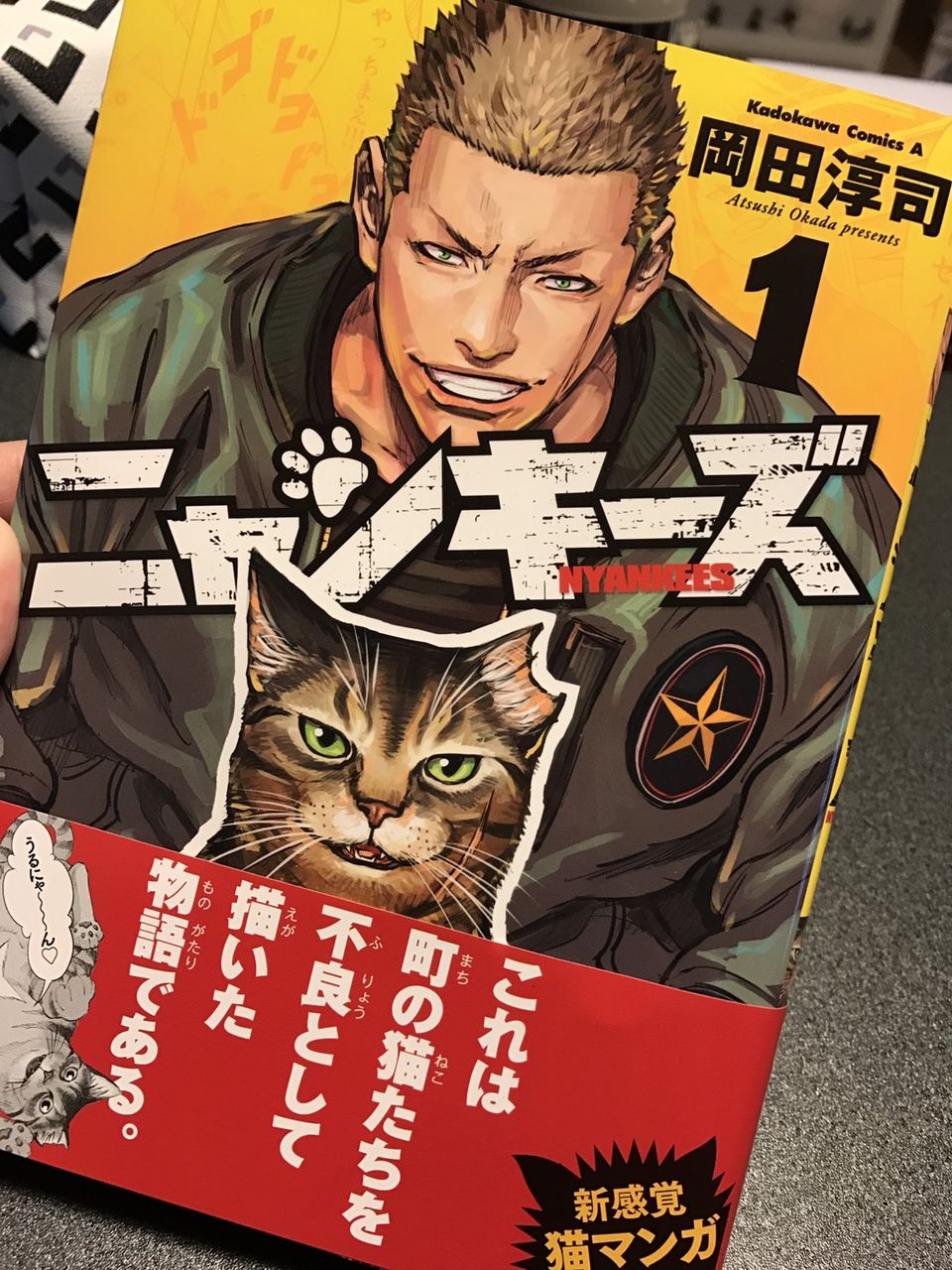 ぬこヤンキー漫画 ニャンキーズ Oh Photonet ぬこヤンキー漫画 ニャンキーズ Oh Photonet