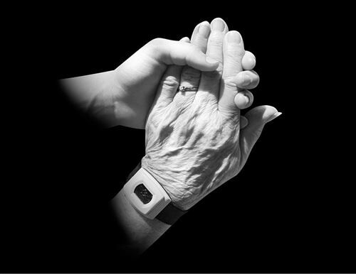hands-old-young-holding_R