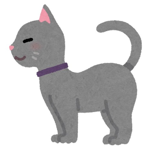 animal_cat_side