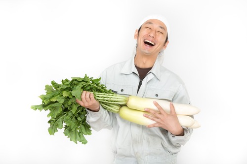 freee151107218260_TP_V