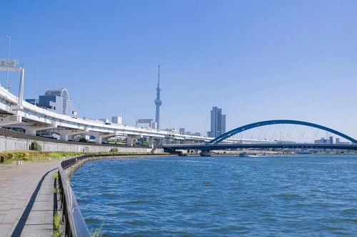 cropsumidagawaIMG_3370