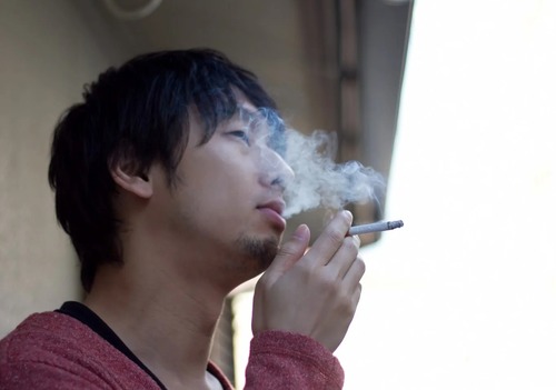 cropC812_tabakonokemurimokumoku