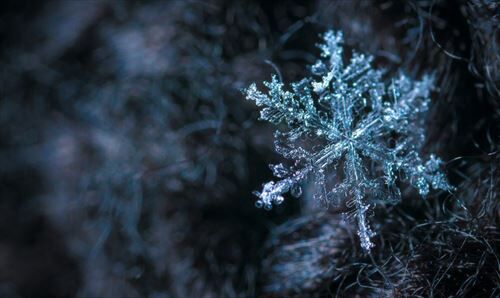 ice-1562545_R