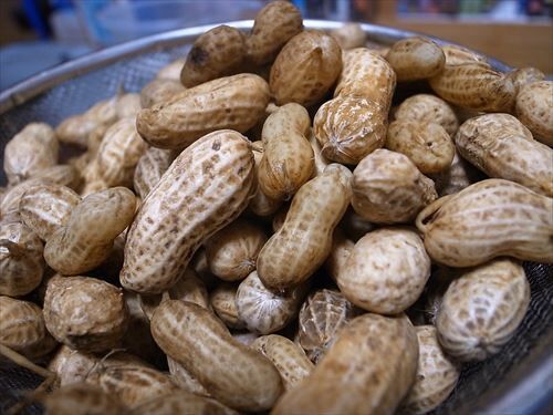 5142506042_58ee525082_c_R