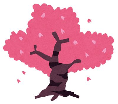 sakura_tree