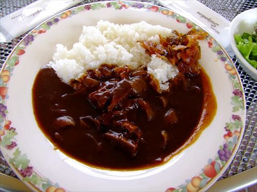 Hayashi_rice_by_midorisyu_in_Ueno_Park,_Tokyo_R