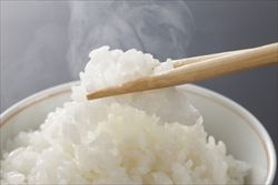 ご飯_R