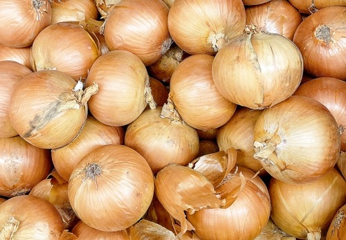 タマネギが150円→500円に　値上げの影響で給食費が限界突破　