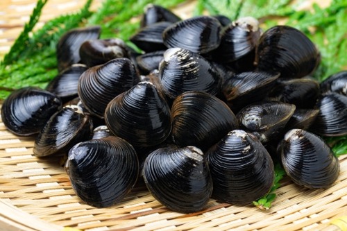 5069b2c1cacc33752396ff3ca93a2613_t