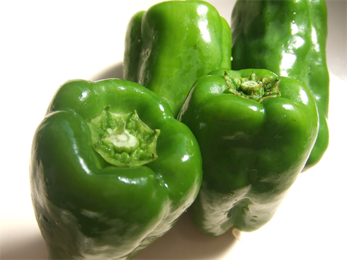 ピーマンを大量に貰ったんだがピーマン使うレシピあげてけ