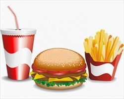 stock-illustrations-fast-food-2-vector_18-4122_R