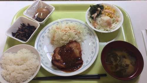 大学の学食これで517円とか普通に安くて笑うんだが