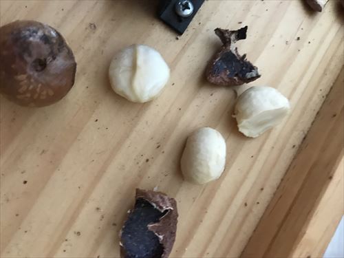 pexels-photo-1423809_R