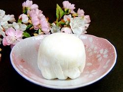 daifuku600a_R