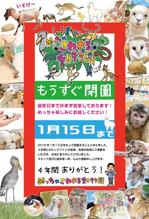 【悲報】ピエリ守山、終わる 	