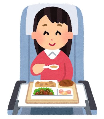airplane_food_kinaisyoku