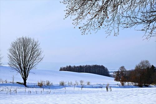 0ab442eab2c177fc0bae1460aaf0-1621474_R