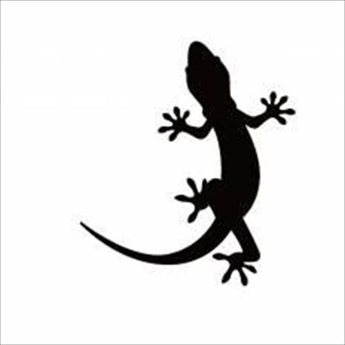 【悲報】オーストラリアの男性、賭けに負けてヤモリを飲み込み死亡 	