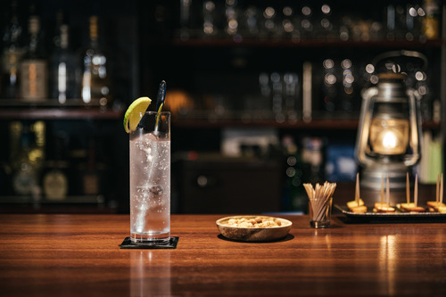 ジンとかいう安いうまい体にいい酒が日本で人気ない理由