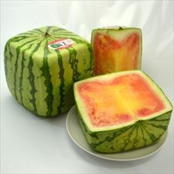 img57783448_R