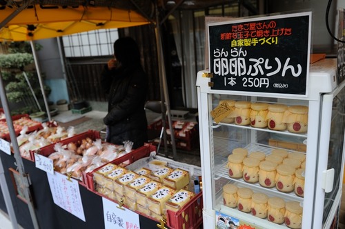 2d7bfe35961bca4f1199164256c9060b