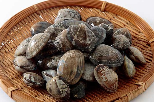 7000トン超の中国・韓国産アサリを「熊本産」と偽装した会社に九州農政局が是正指示