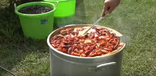 でかい鍋でザリガニを茹でるアメリカのザリガニ料理を食ってみたいんだが