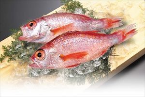 日本人の魚離れが深刻　子どもの夕食に魚料理を出す母親は9％に過ぎず