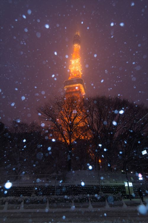 197505930_624.v1576440021_R