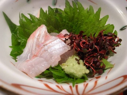 20120526084206