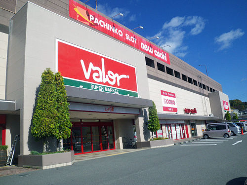 20131113valor