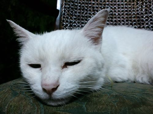 4976724108_9297896b37_k_R