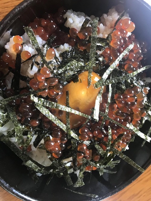 自分で漬けたいくら丼うますぎ