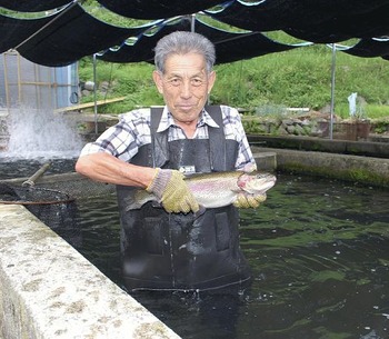 サケよりおいしい？海なし県産「サーモン」好調